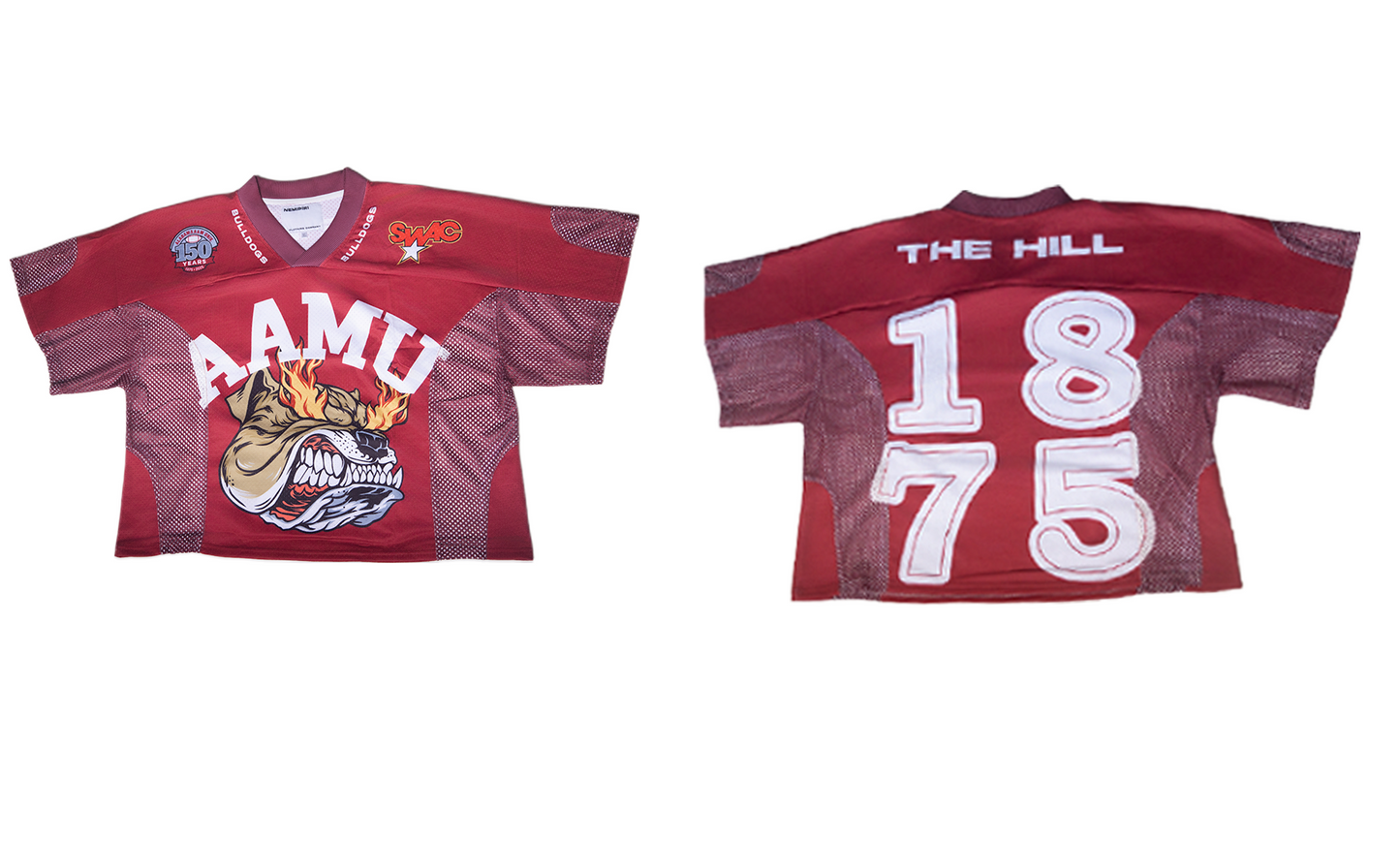 2 Tone Hall of Fame Jersey